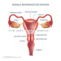 雞西男科醫院哪個好答案在這里？公立和私立各有優勢