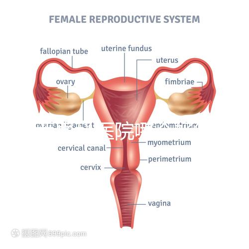 雞西男科醫(yī)院哪個(gè)好答案在這里？公立和私立各有優(yōu)勢(shì)