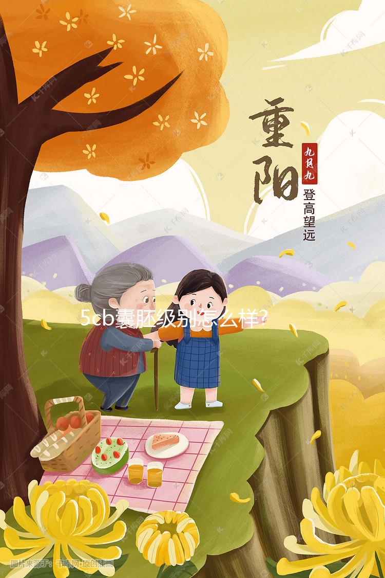 5cb囊胚級別怎么樣?質量稍差,但