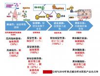 5bc囊胚移植后第六天測兩條杠要注意,第九天沒了不在少數(shù)