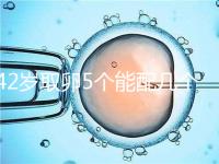 42歲取卵5個能配幾個胚胎難說，只有2個許是技術差導致