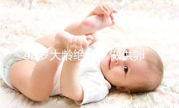 48歲大齡絕經，做供卵試管嬰兒的成功率有多高？