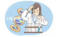 5號染色體q31.3微缺失綜合癥嚴重嗎？會怎么樣？