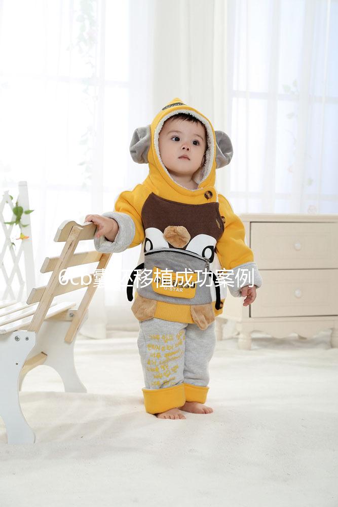 6cb囊胚移植成功案例并不少！過來人分享經驗帶你好孕