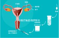 MD醫(yī)療集團(tuán):俄羅斯本土已上市的一家母嬰醫(yī)療機(jī)構(gòu)