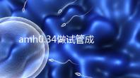 amh0.34做試管成功率高嗎?能取幾顆卵子是關鍵