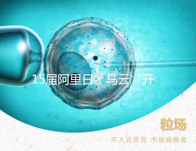 15屆阿里日:馬云“開車”稱工作要996精神生活上要669