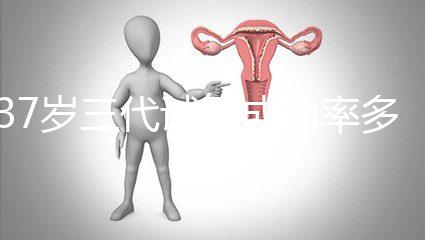 37歲三代試管成功率多少戳，案例告訴你要移植兩個(gè)囊胚