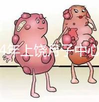 2024年上饒?jiān)伦又行膬r(jià)格出爐,想做哪個(gè)服務(wù)好,收費(fèi)低