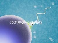 2024年做一次試管嬰兒費用詳解:最新一/二/三代試管費用明細(xì)實時更新
