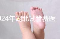 2024年湖北試管費醫療保險可以報銷？專家：時間還沒到？
