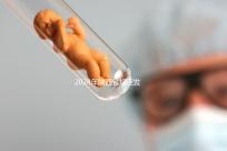 2024年陜西省規定發放獨生子女費，包括咸陽市補貼標準和領取流程