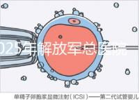2025年解放軍總醫(yī)院第七醫(yī)學(xué)中心做試管嬰兒的費用明細，現(xiàn)在做試管多少錢？