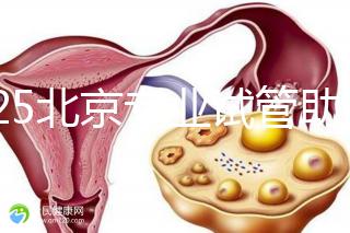 2025北京專業(yè)試管助孕機(jī)構(gòu)可靠推薦來(lái)咯,這3家超棒,快碼住!