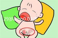 29歲amh0.03還能做試管嬰兒嗎？能否取到卵是懷孕關鍵