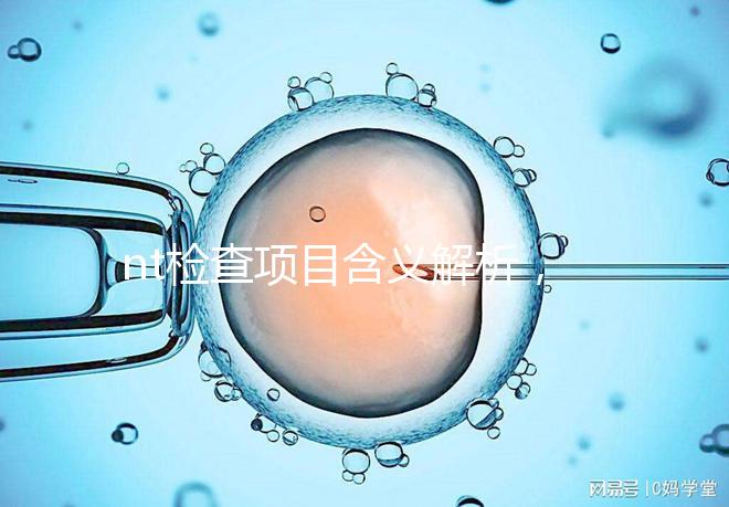 nt檢查項(xiàng)目含義解析,每個(gè)內(nèi)容都相當(dāng)重要